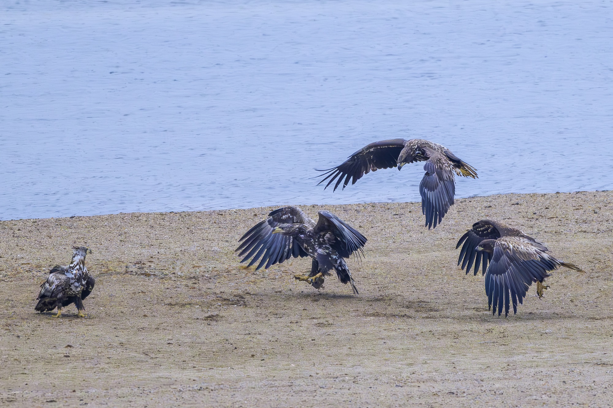 DSC_2160-향상됨-NR 복사.jpg