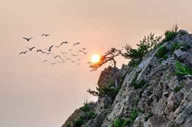 Screenshot_20250710_144307_Samsung Internet.jpg