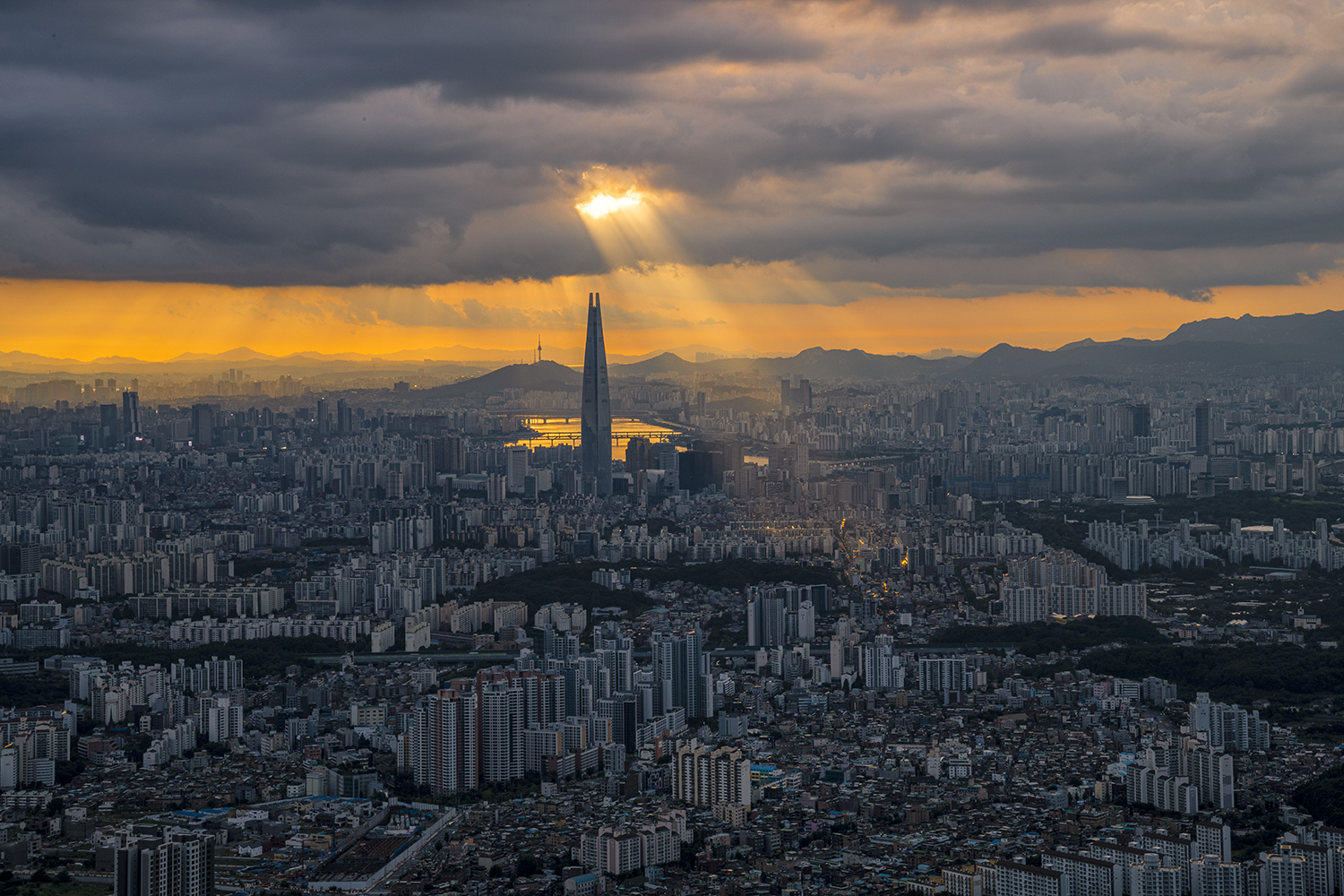 메인사진