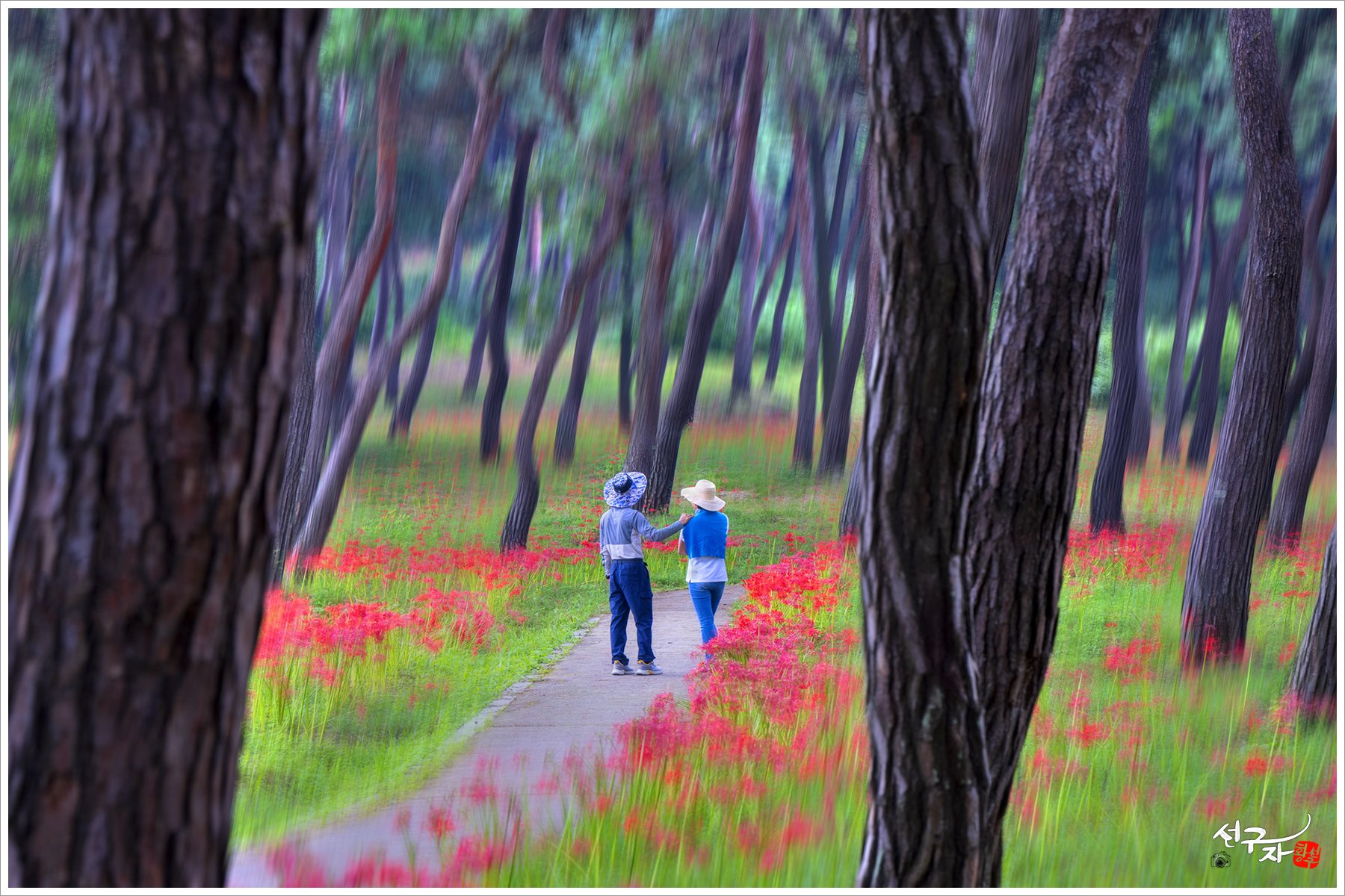메인사진