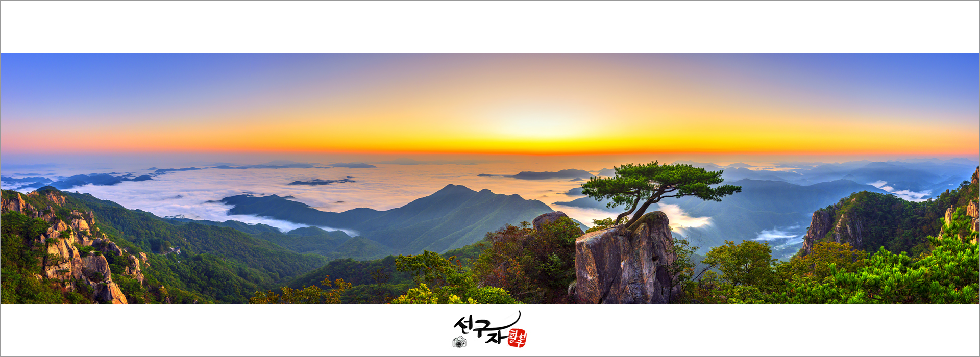 메인사진