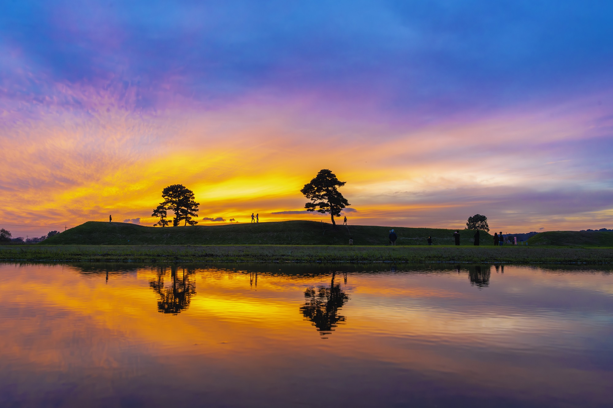 DSC_7605-향상됨-NR 복사.jpg