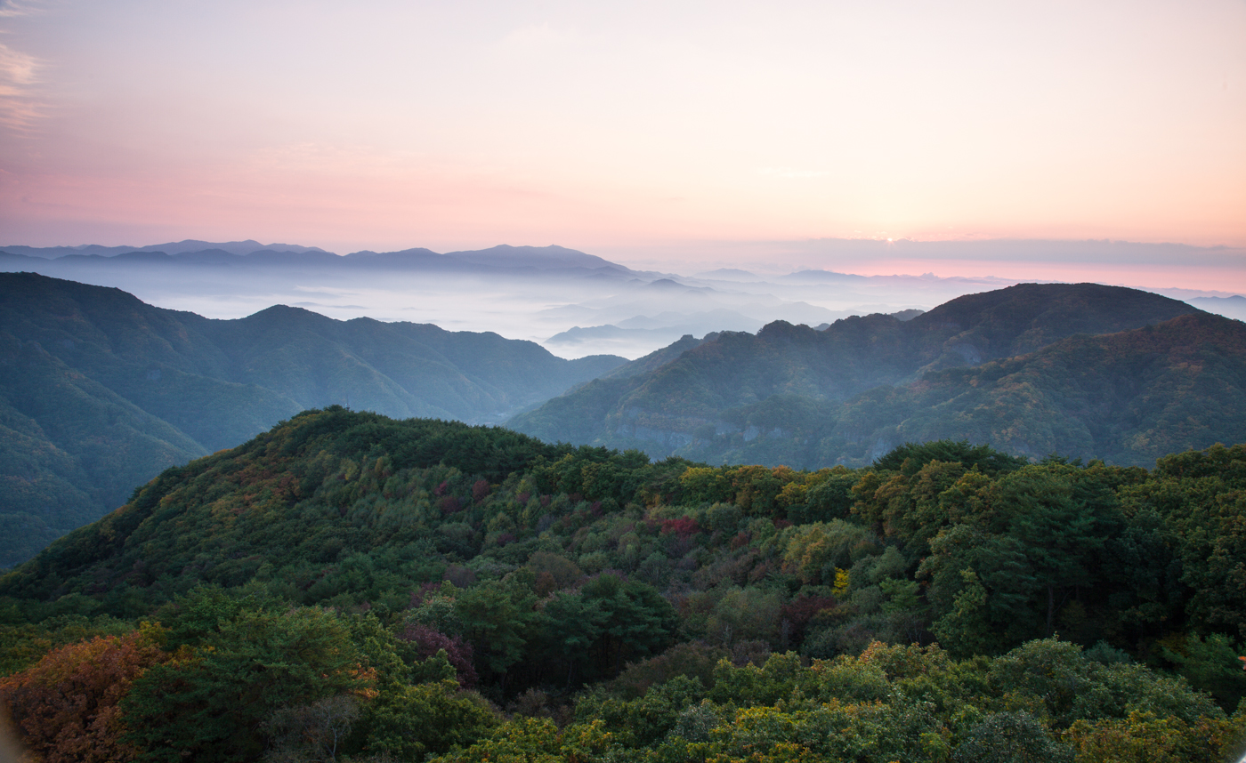 메인사진