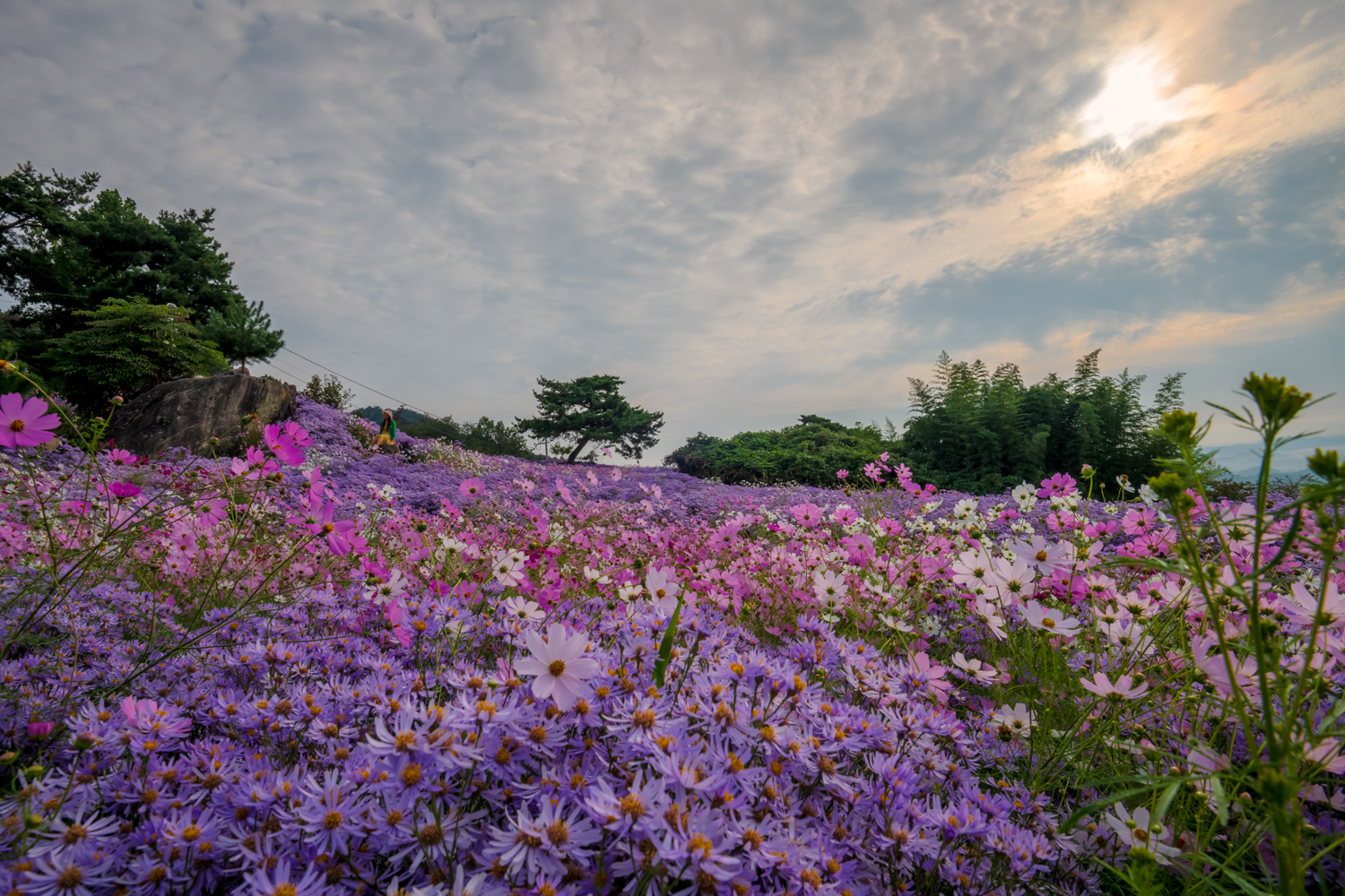 메인사진