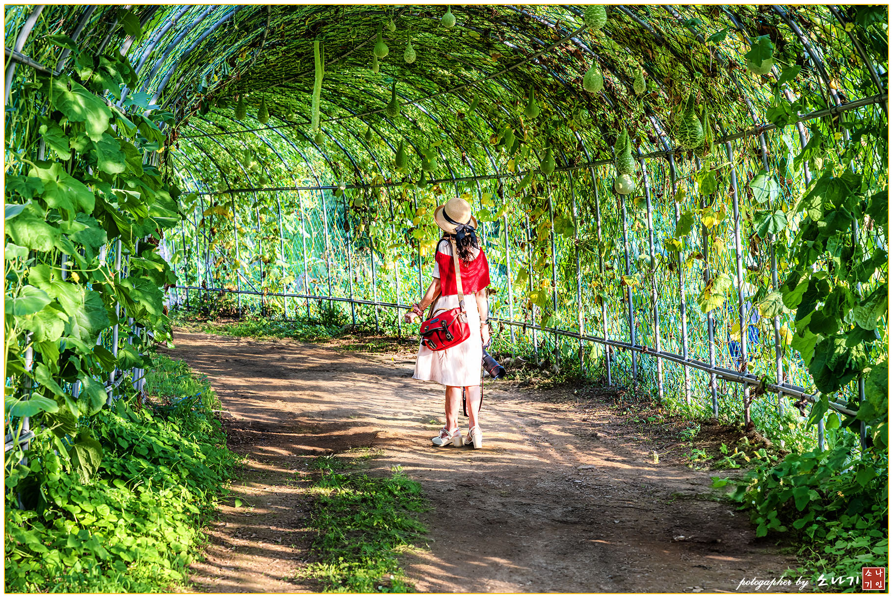 강주리 초롱박 복사.jpg