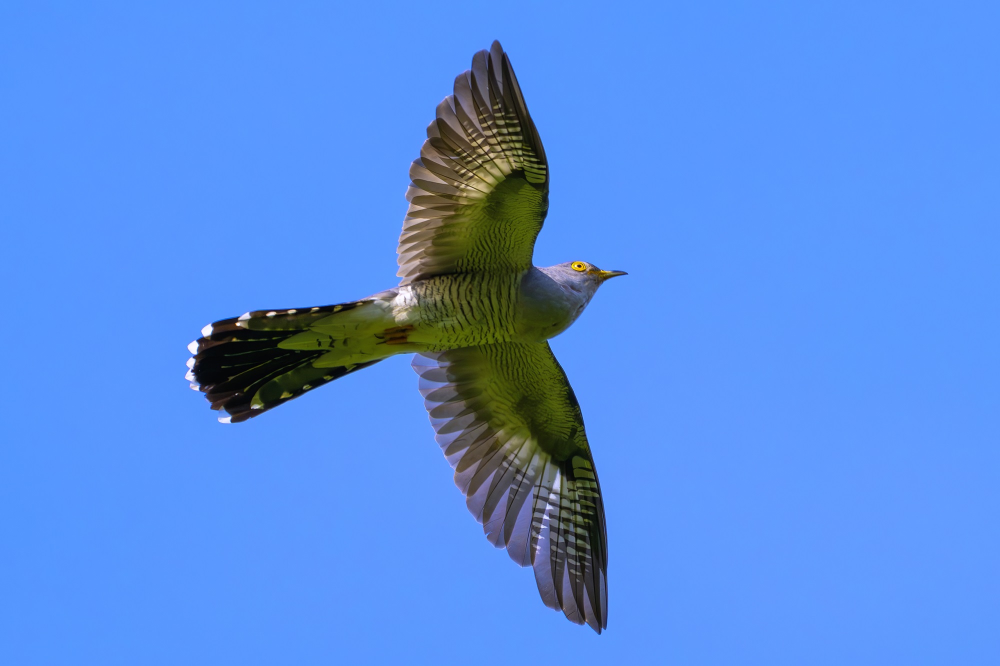 DSC_5312-향상됨-NR 복사.jpg