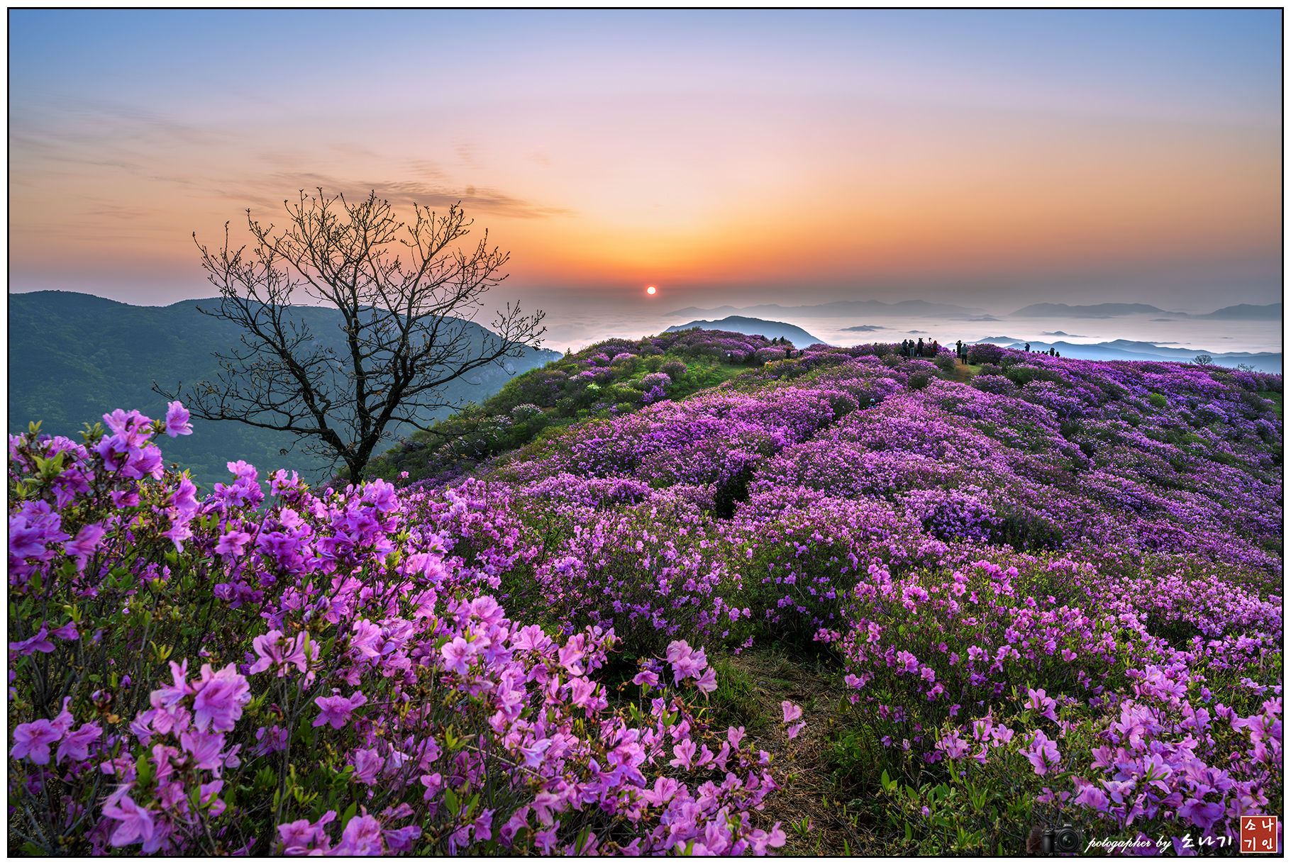 황매산 일출-1.jpg