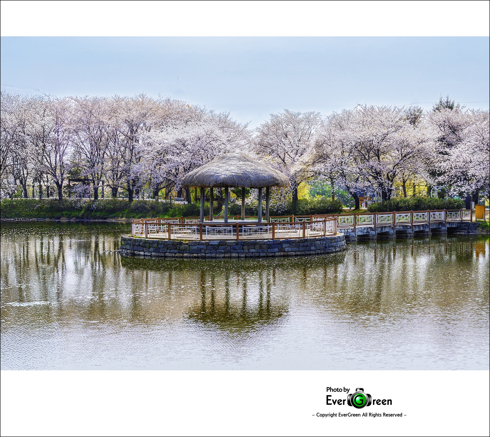 _ADS0268 복사 2.jpg