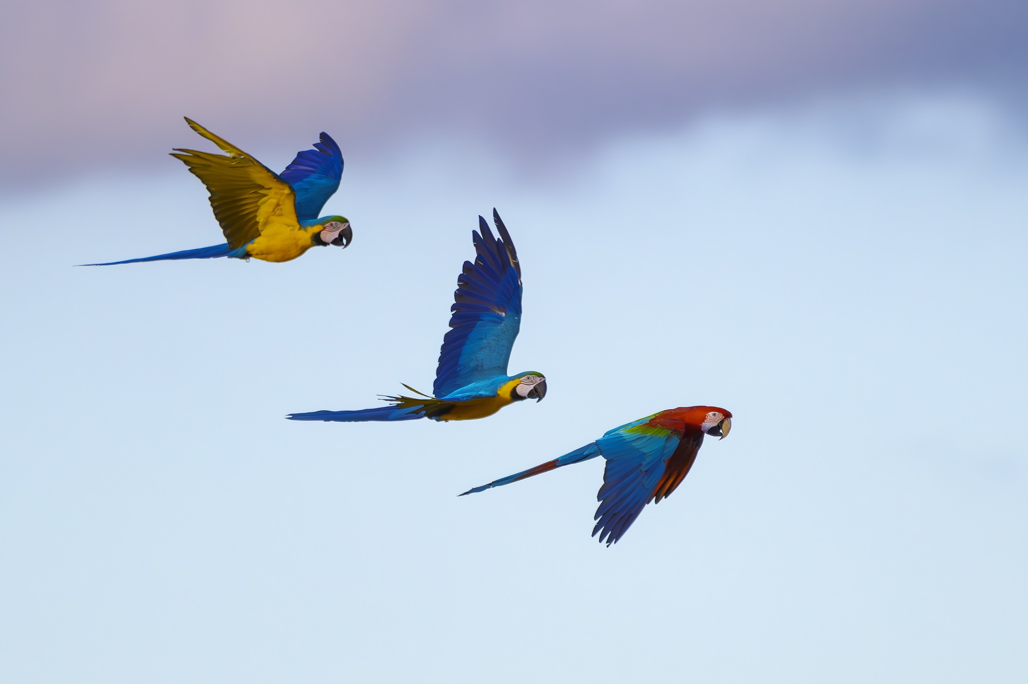 DSC_5219-향상됨-NR 복사.jpg