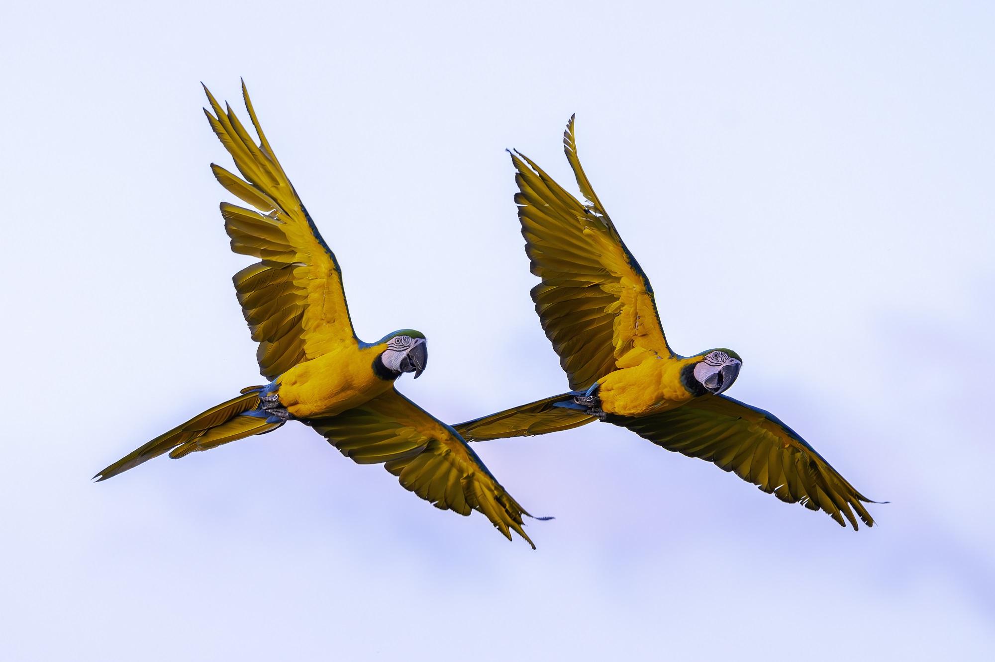 DSC_4963-향상됨-NR 복사.jpg