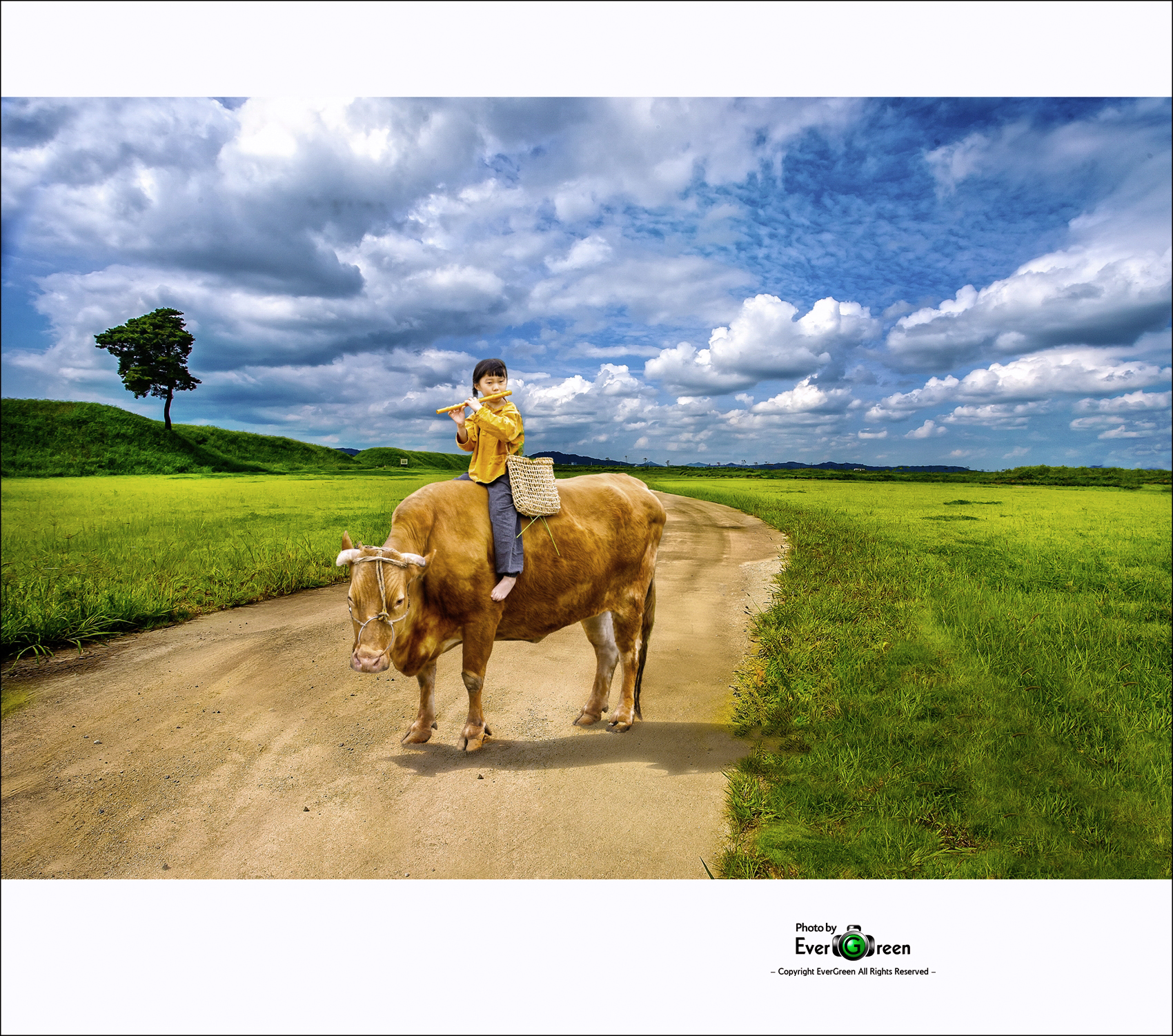 자전거 탄풍경-작은이미지-00.jpg