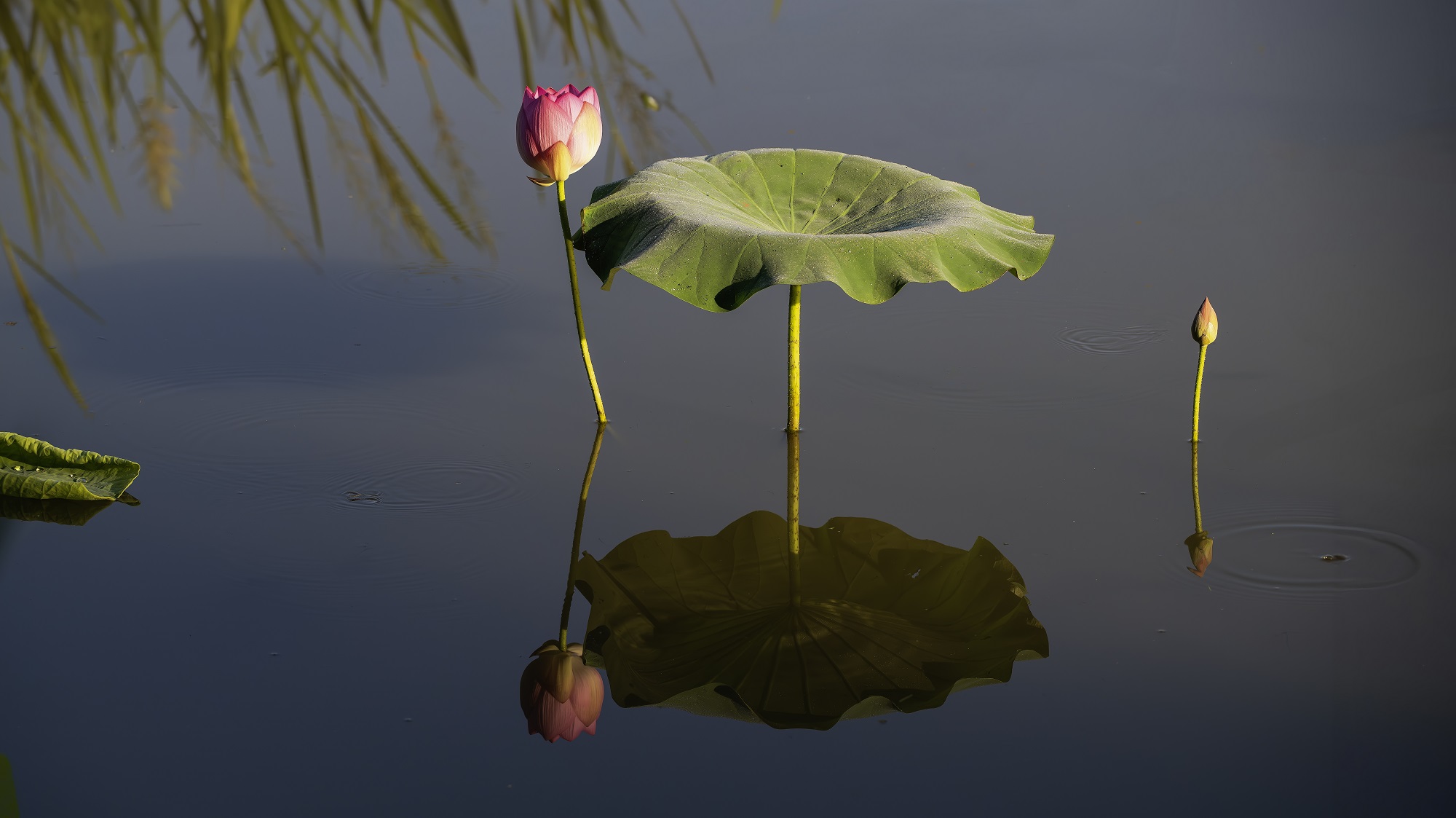 DSC_9922-향상됨-NR 복사.jpg