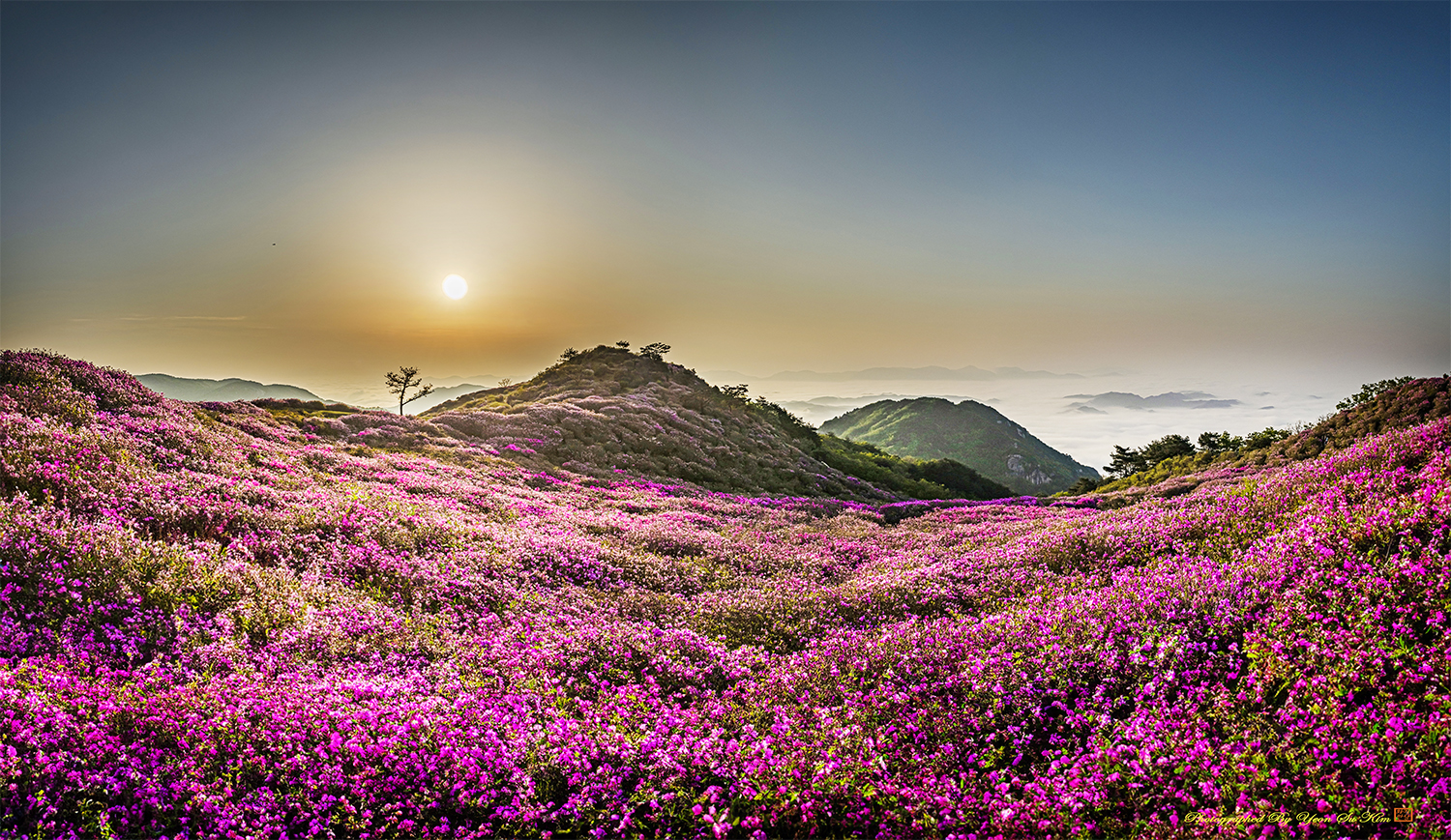 황매산 파노라마 2-5.jpg