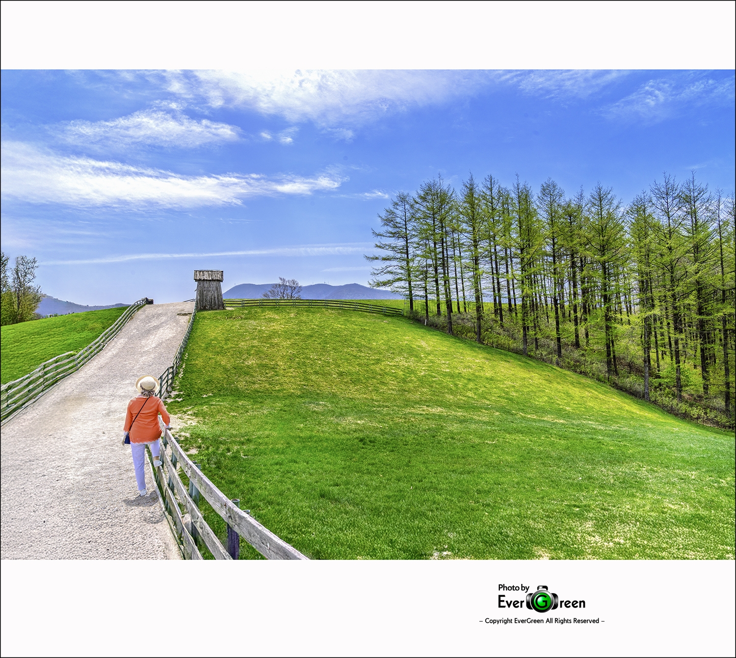 _ADS0259-프레임 직은이미지.jpg