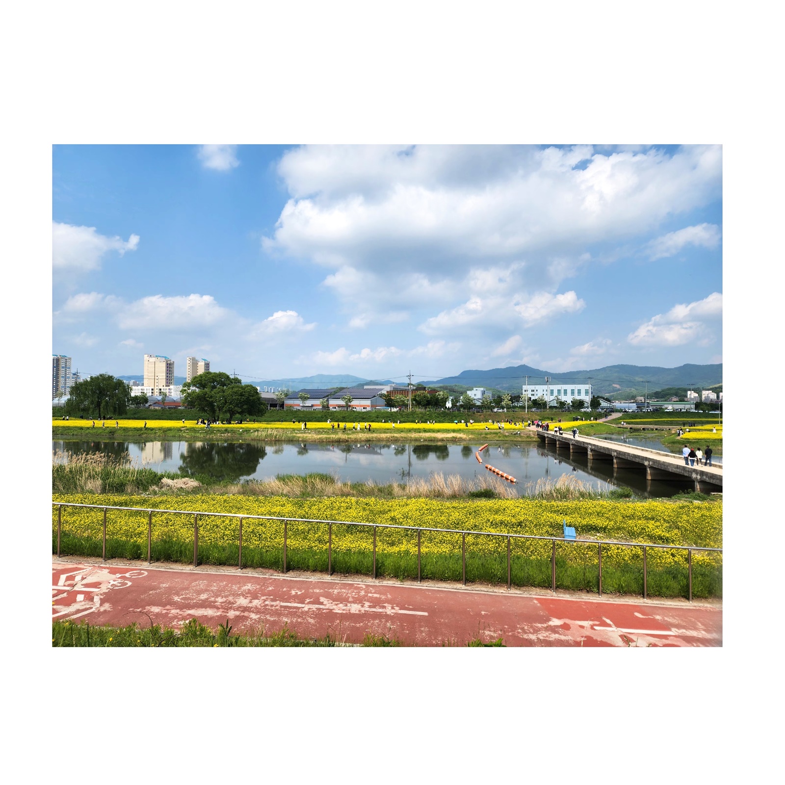 2025-05-11-18-26-41-743 (1).jpg