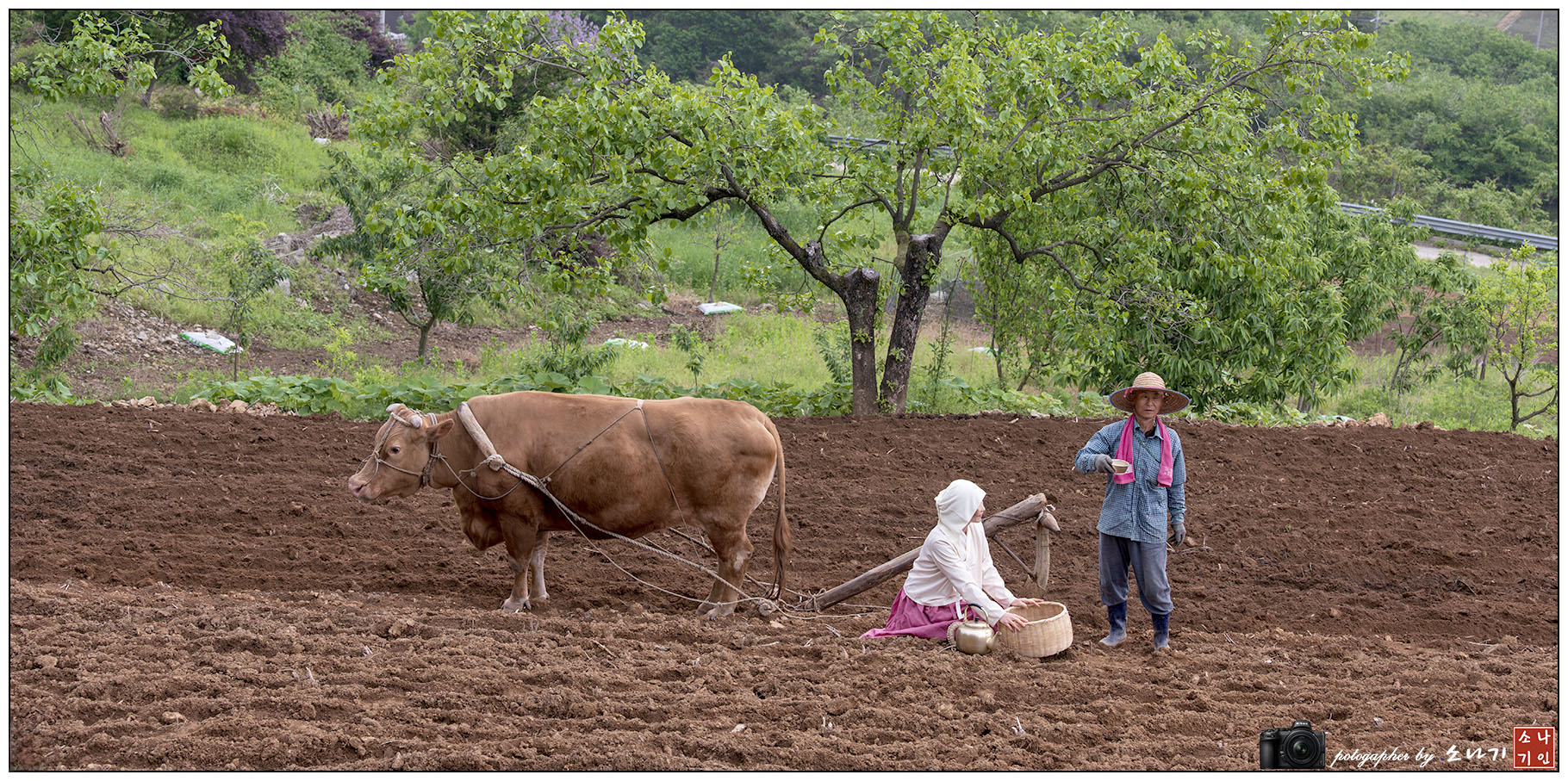 임실 소밭갈이.jpg