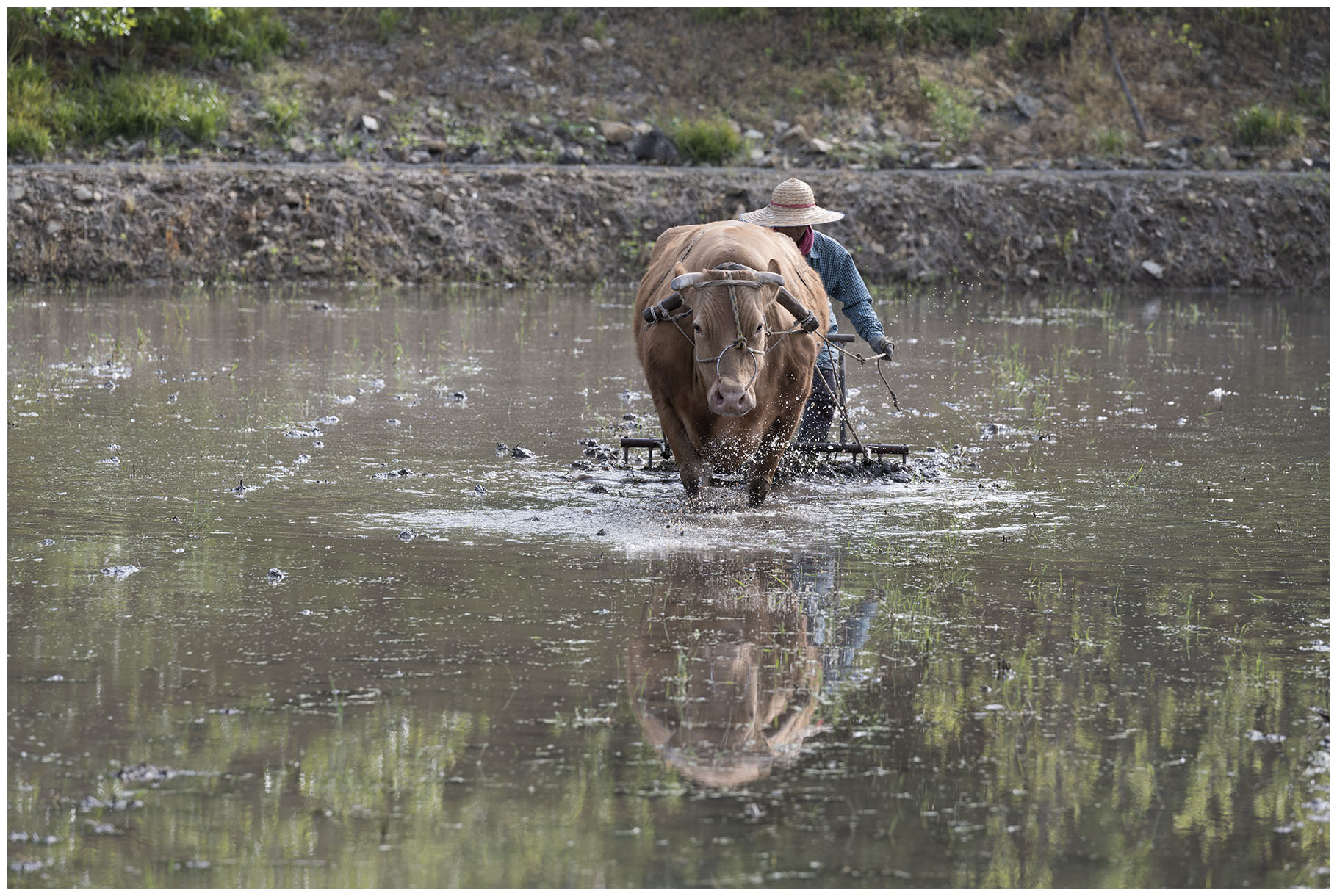임실 소밭갈이-3.jpg