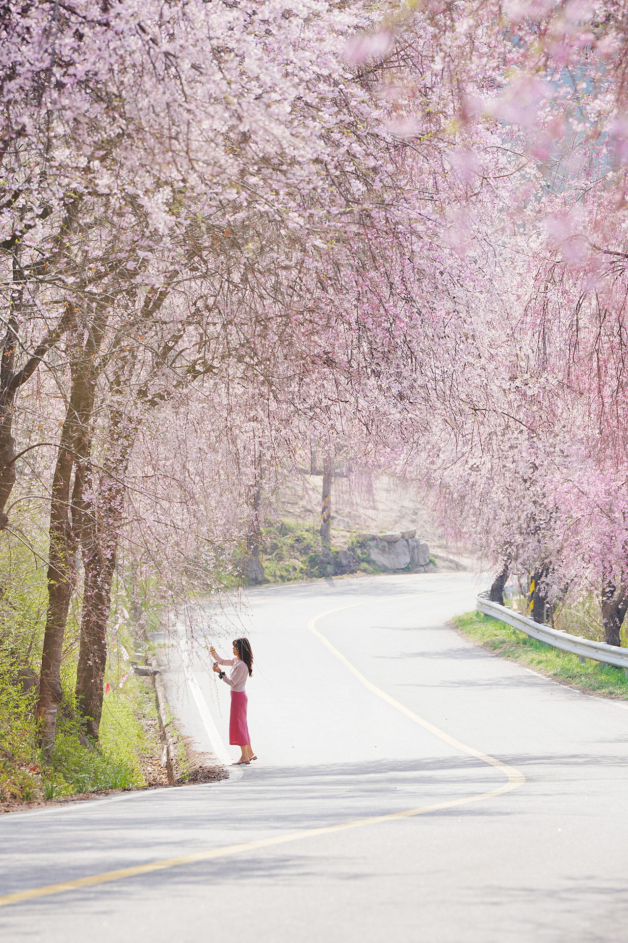 DSC06895-1 - 복사본2.jpg