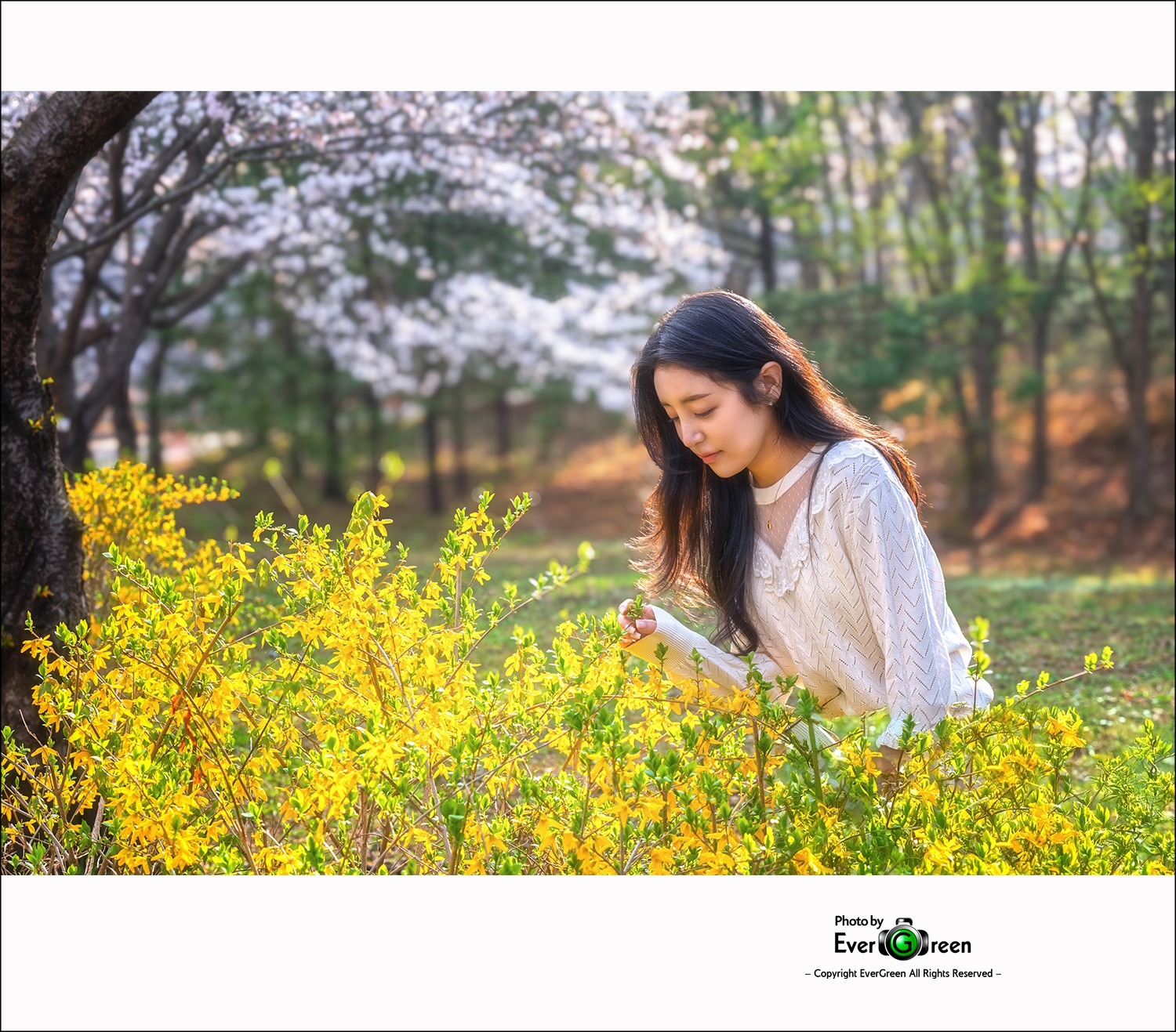 _ADS0229 복사-작은이미지.jpg