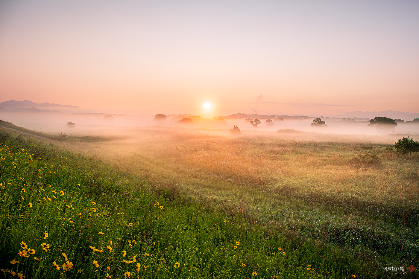 6S1A6038-향상됨-NR (1).jpg