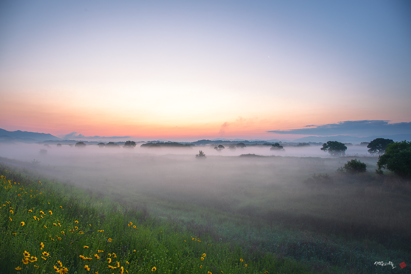 6S1A5950-향상됨-NR (1).jpg