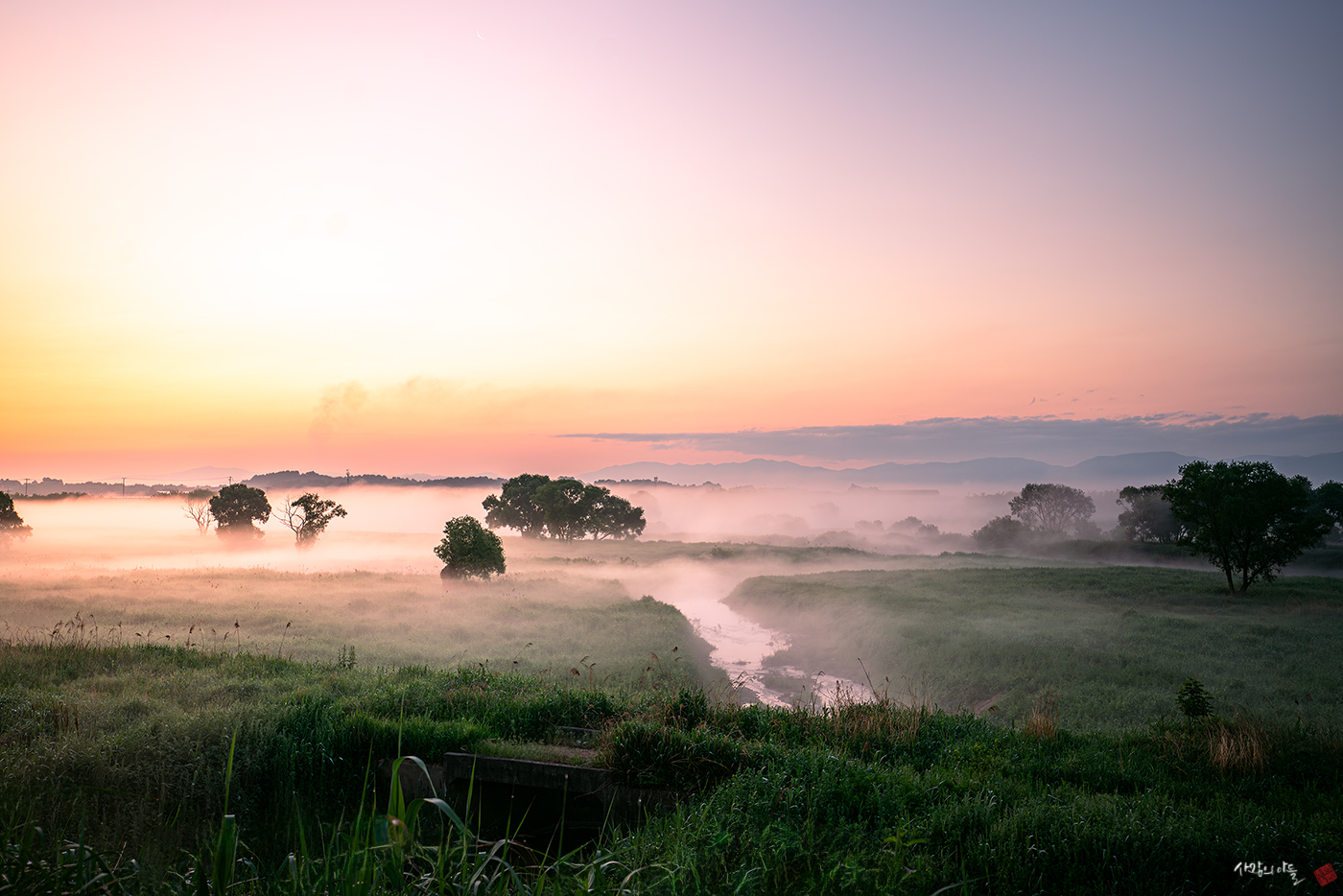 DSC03738-향상됨-NR (1).jpg