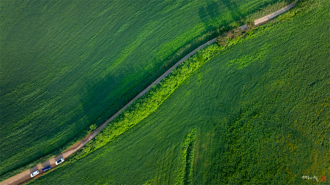 DJI_20240519063105_0118_D-HDR.jpg