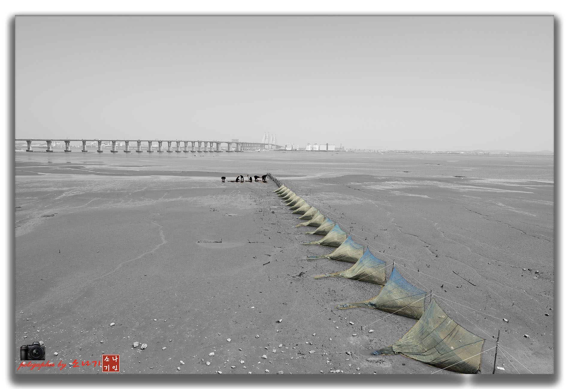 서해대교 겟벌 복사.jpg