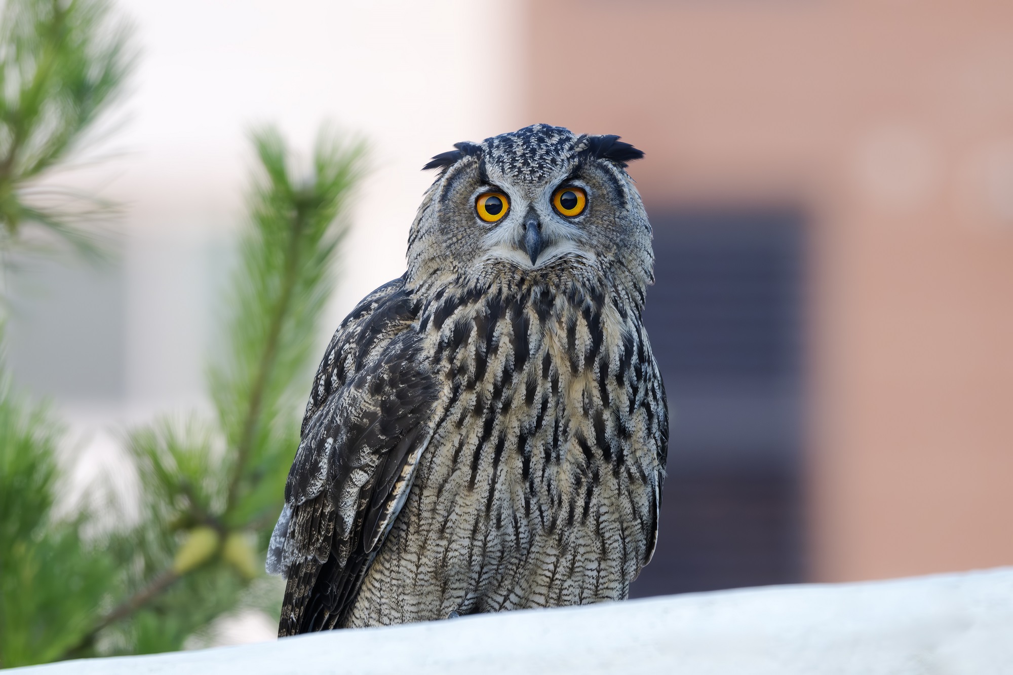 DSC_6191-향상됨-NR 복사.jpg