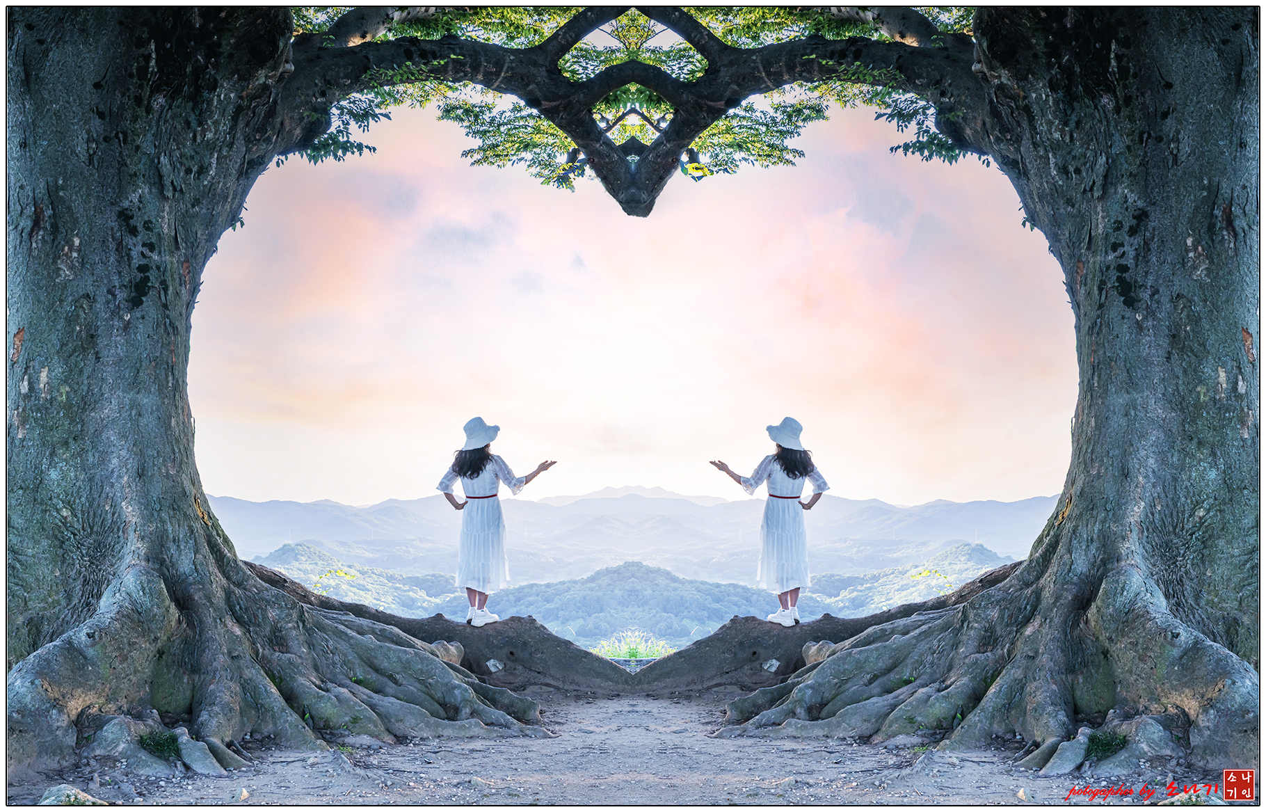 성흥산성 하트나무.jpg