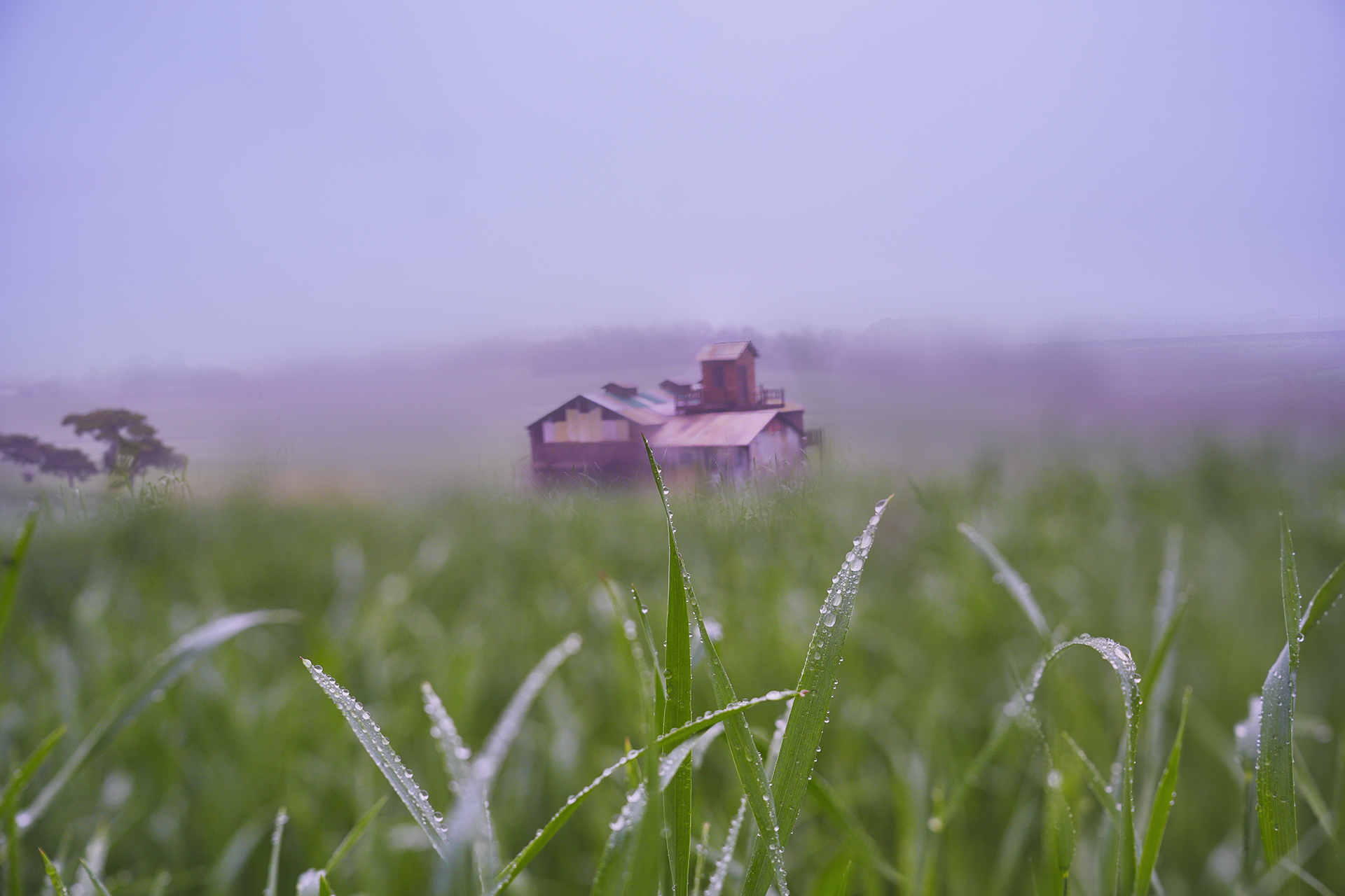 DSC07539 - 복사본 복사-2.jpg