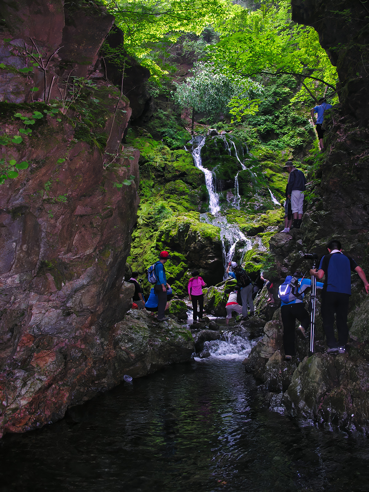 2006.8 이끼폭포 (2).jpg