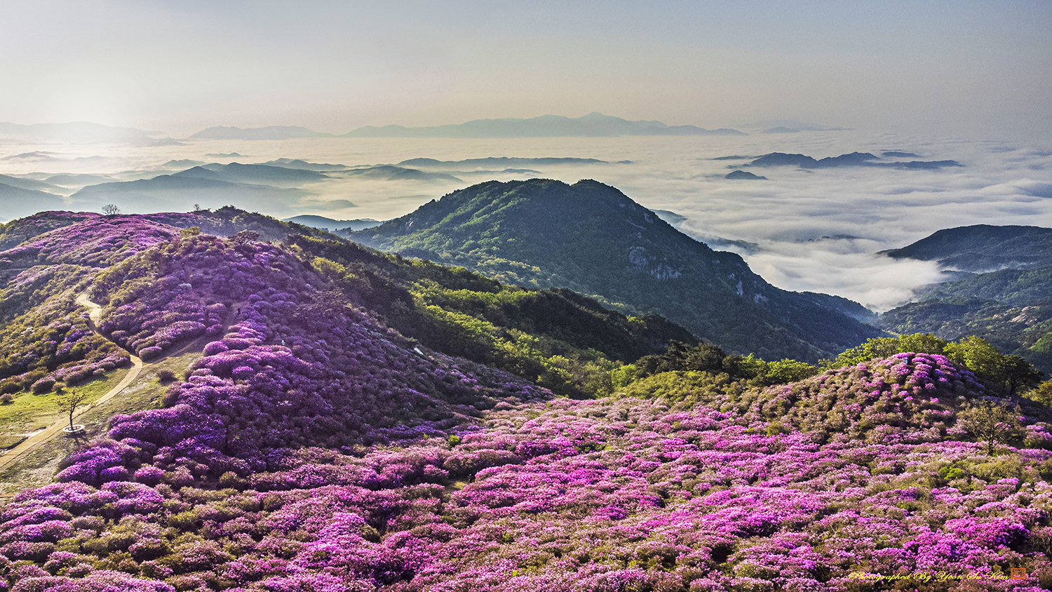 황매산 0697-5.jpg