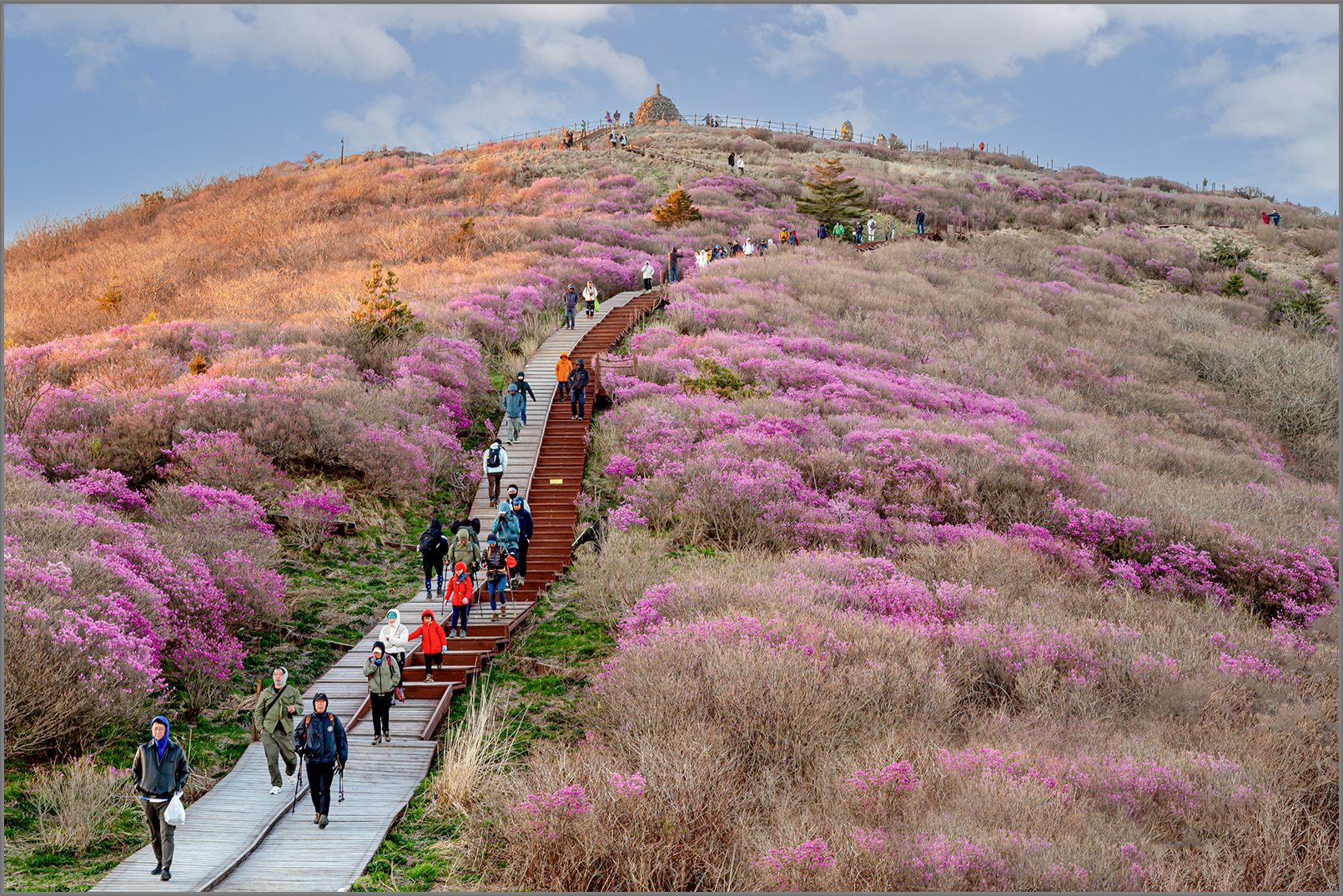 자연과사람의 어울림.jpg