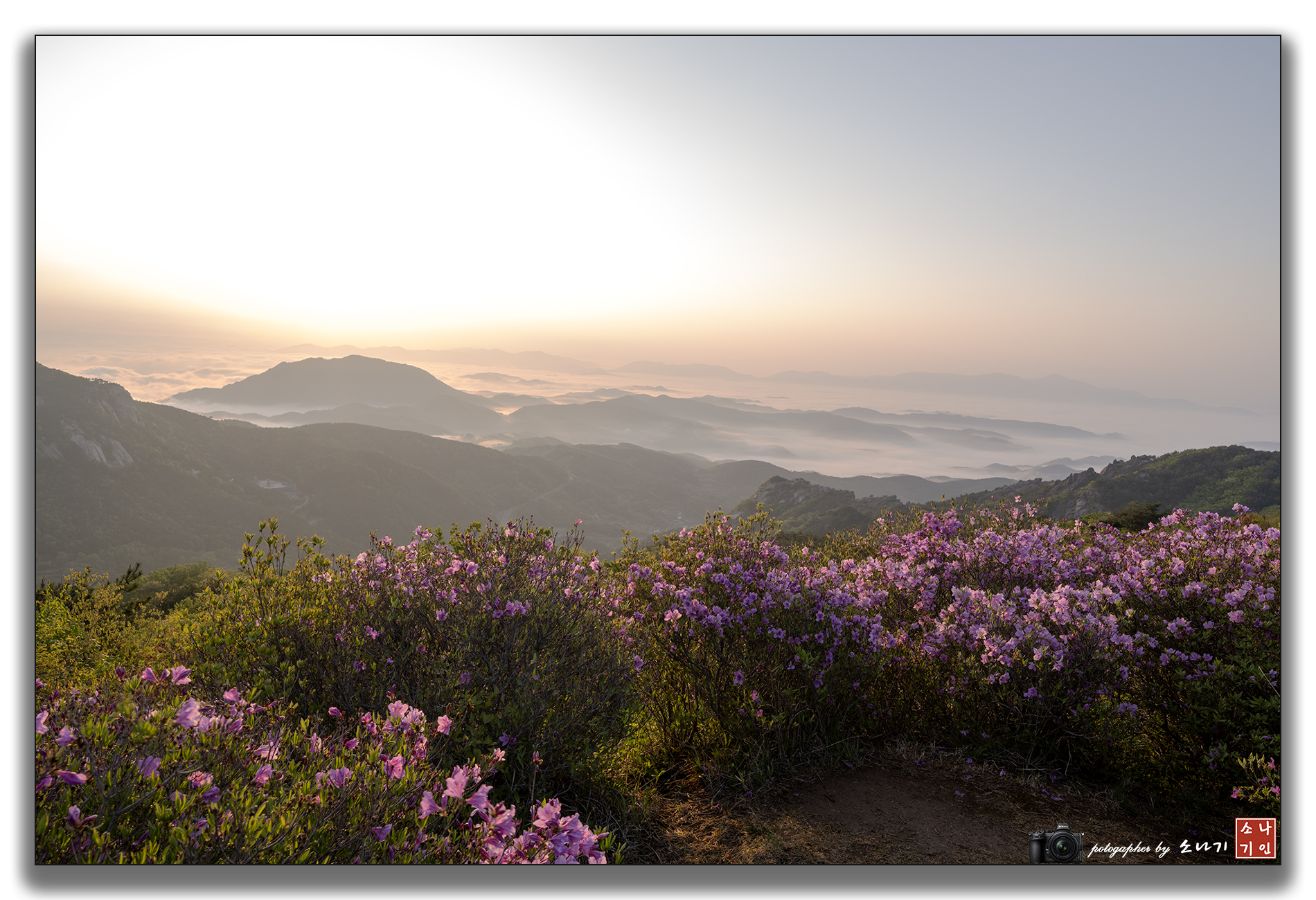 황매산 일출.jpg