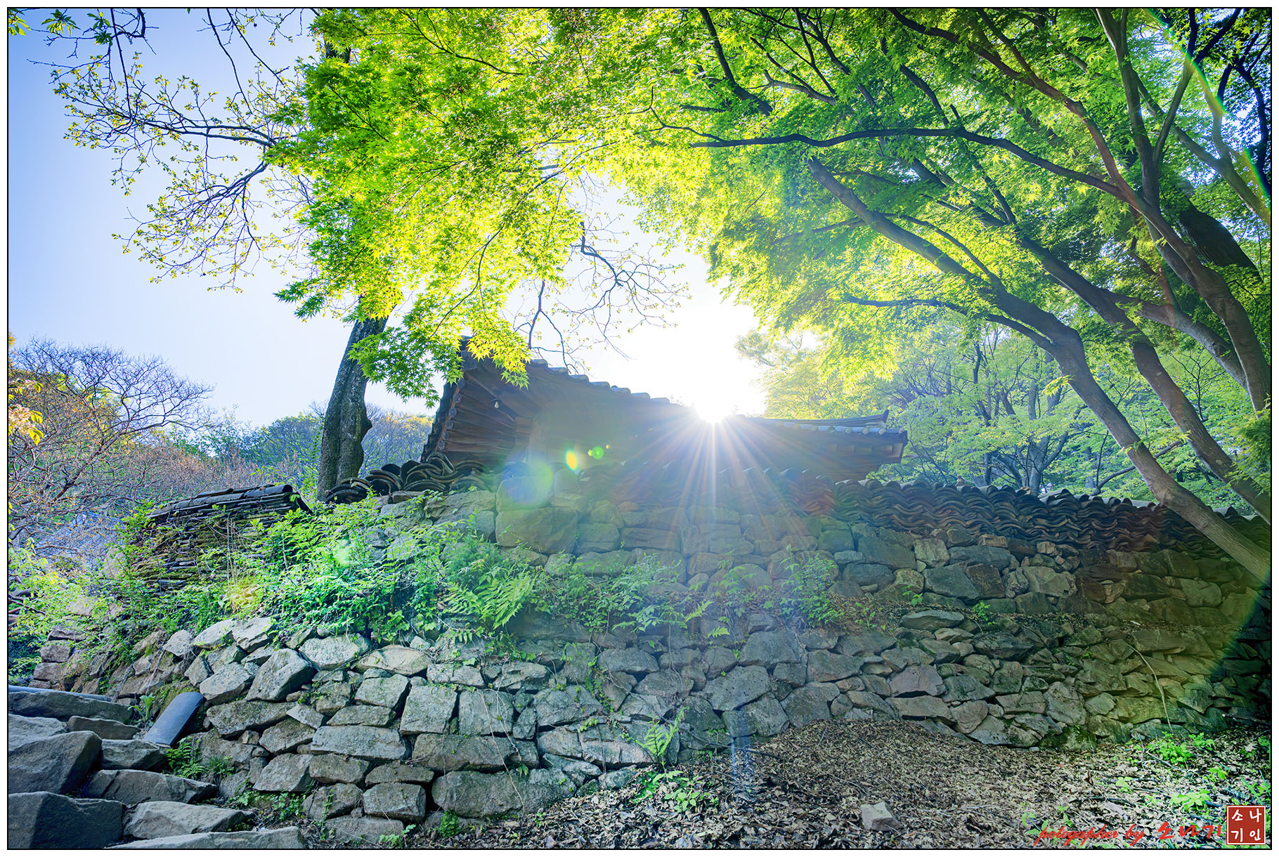 개심사-1 복사.jpg