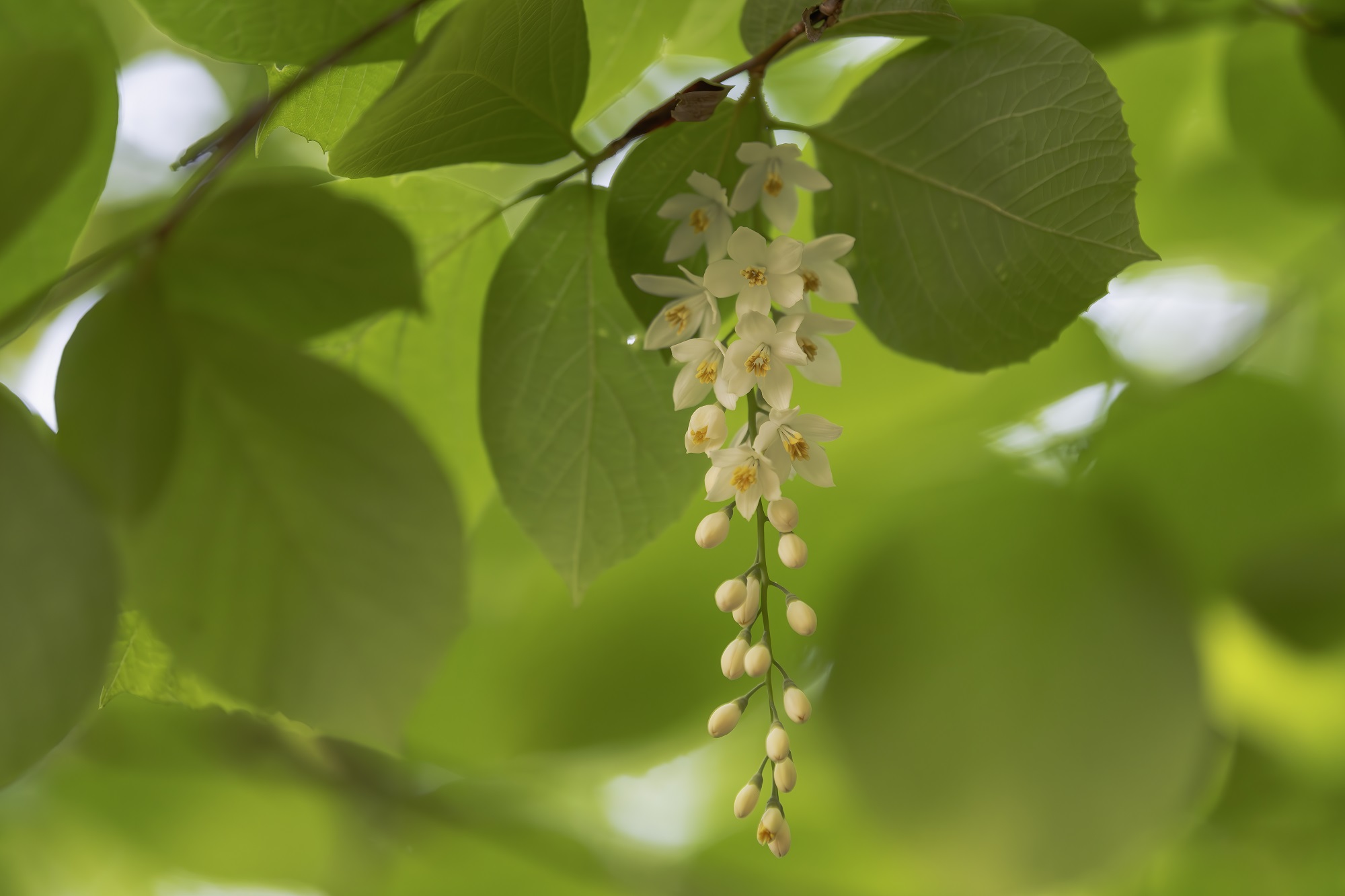 DSC_7243-향상됨-NR 복사.jpg