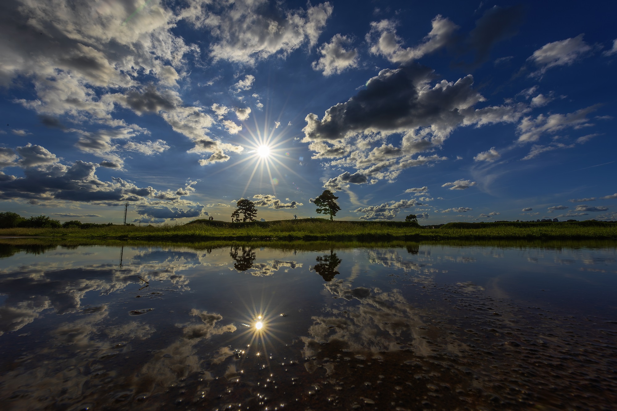 DSC_1079-향상됨-NR 복사.jpg