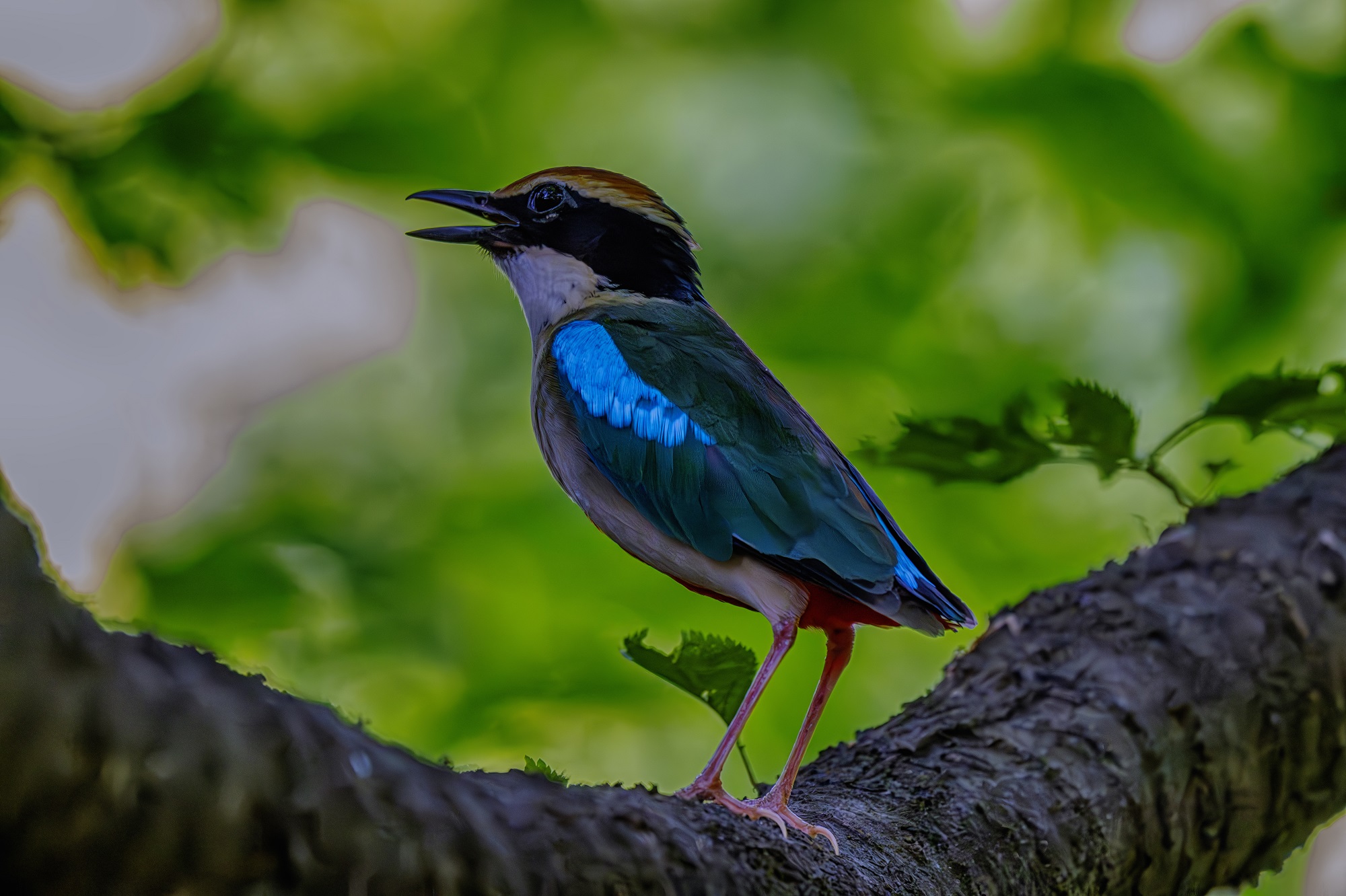 DSC_7553-향상됨-NR 복사.jpg